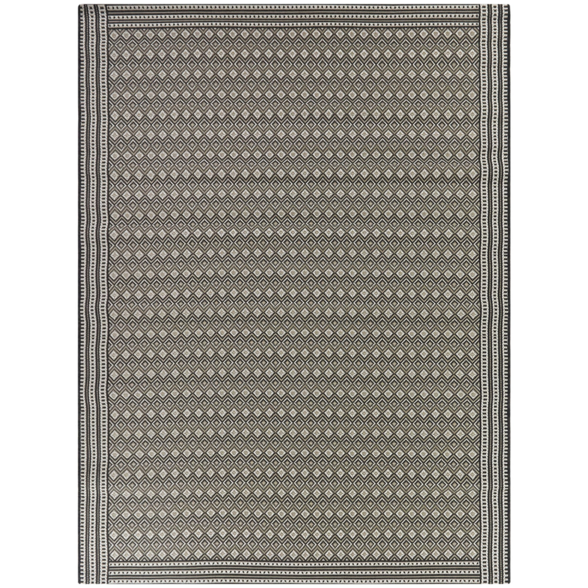 Anson Transitional  Area Rug