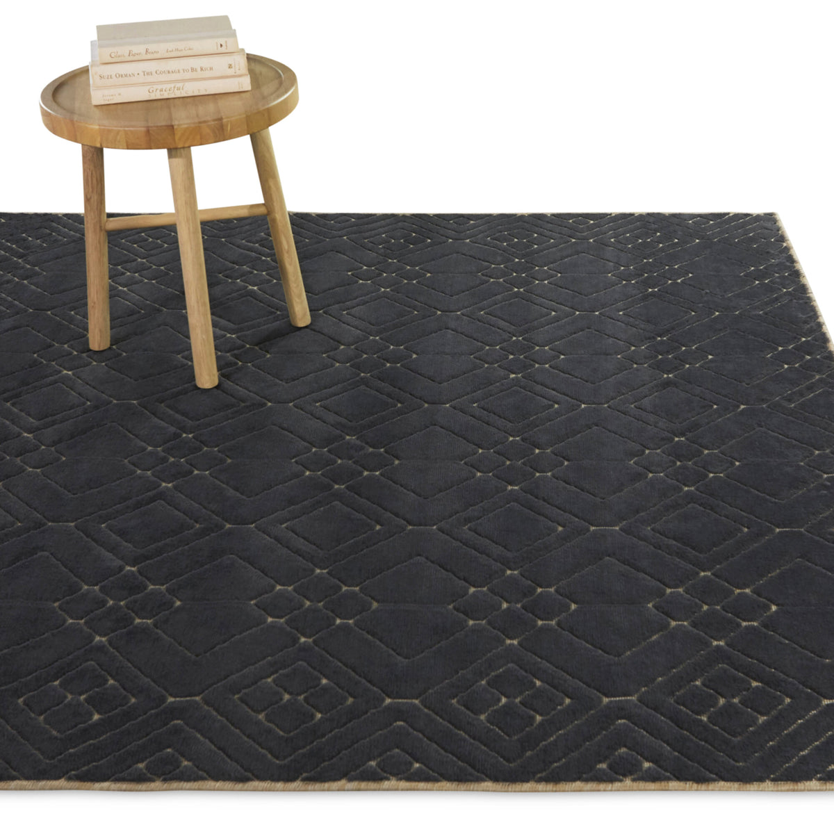 Munoz Transitional Trellis Area Rug