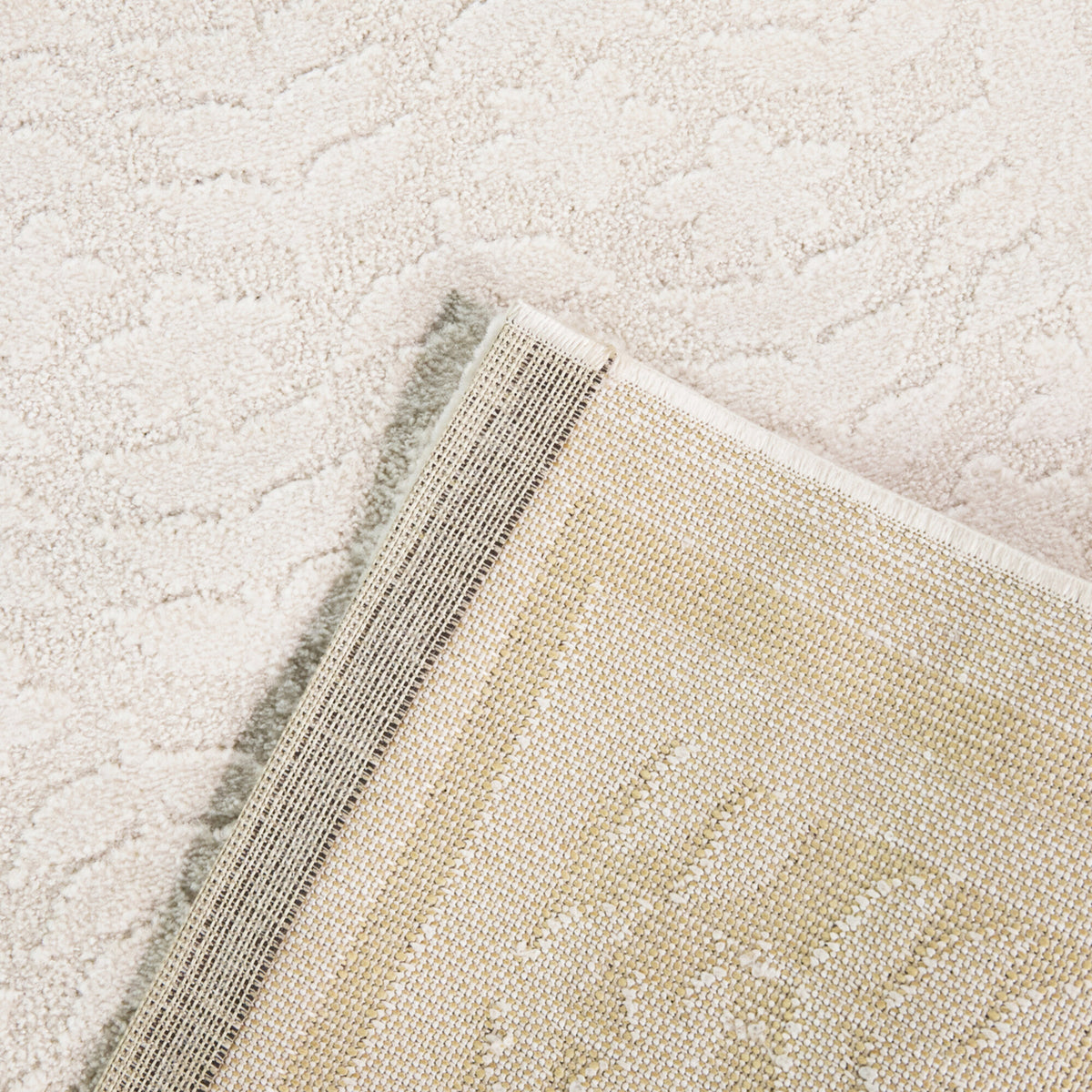 Xaver Scandi Floral Area Rug