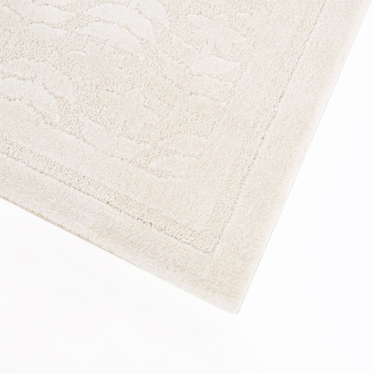 Xaver Scandi Floral Area Rug