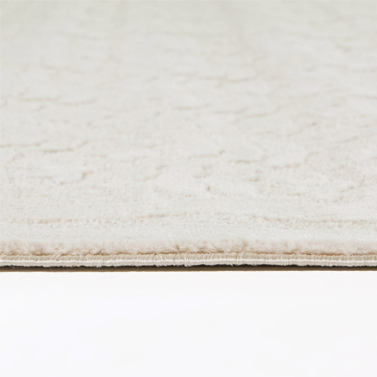 Xaver Scandi Floral Area Rug