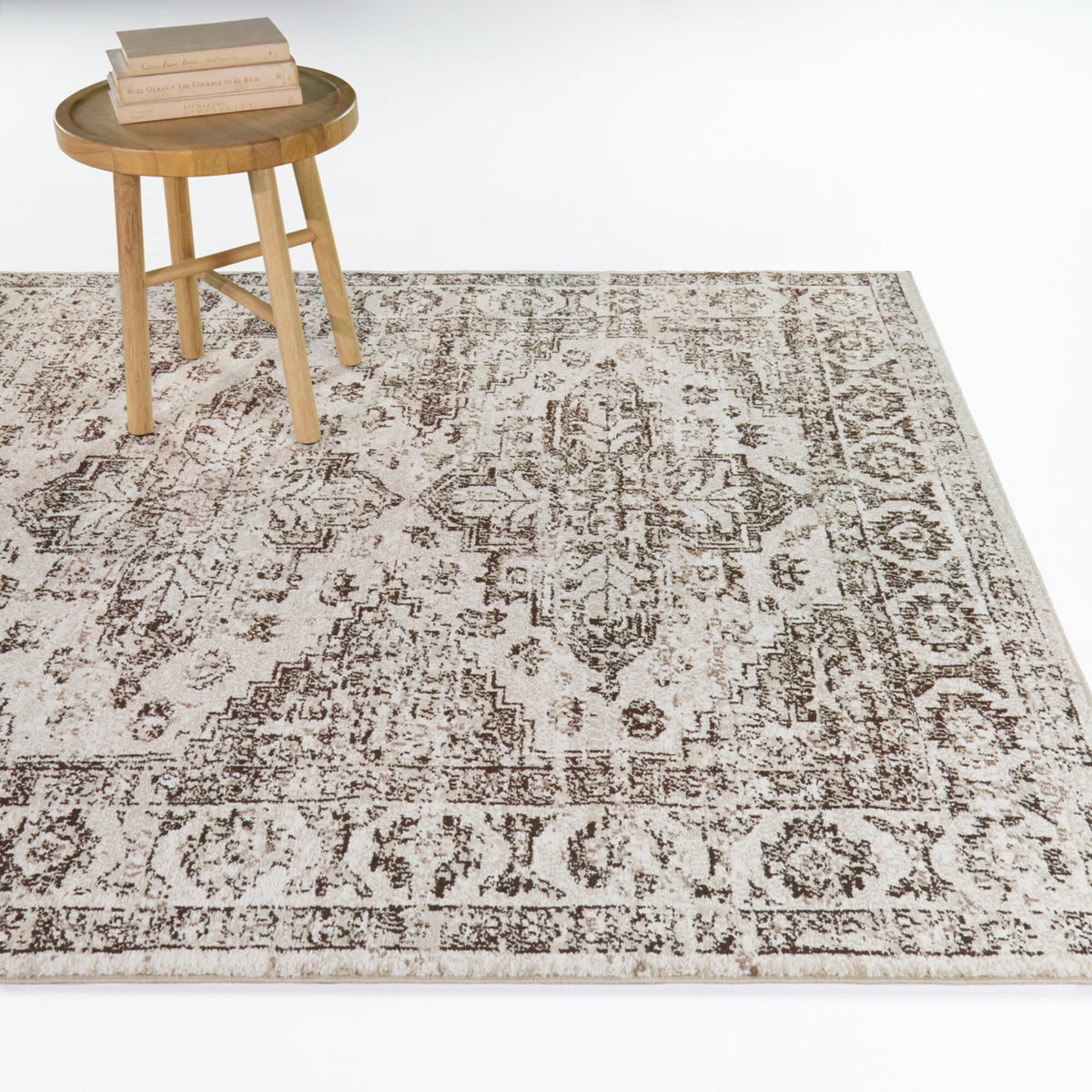 Chambellanpolymnia Southwestern Medallion Area Rug