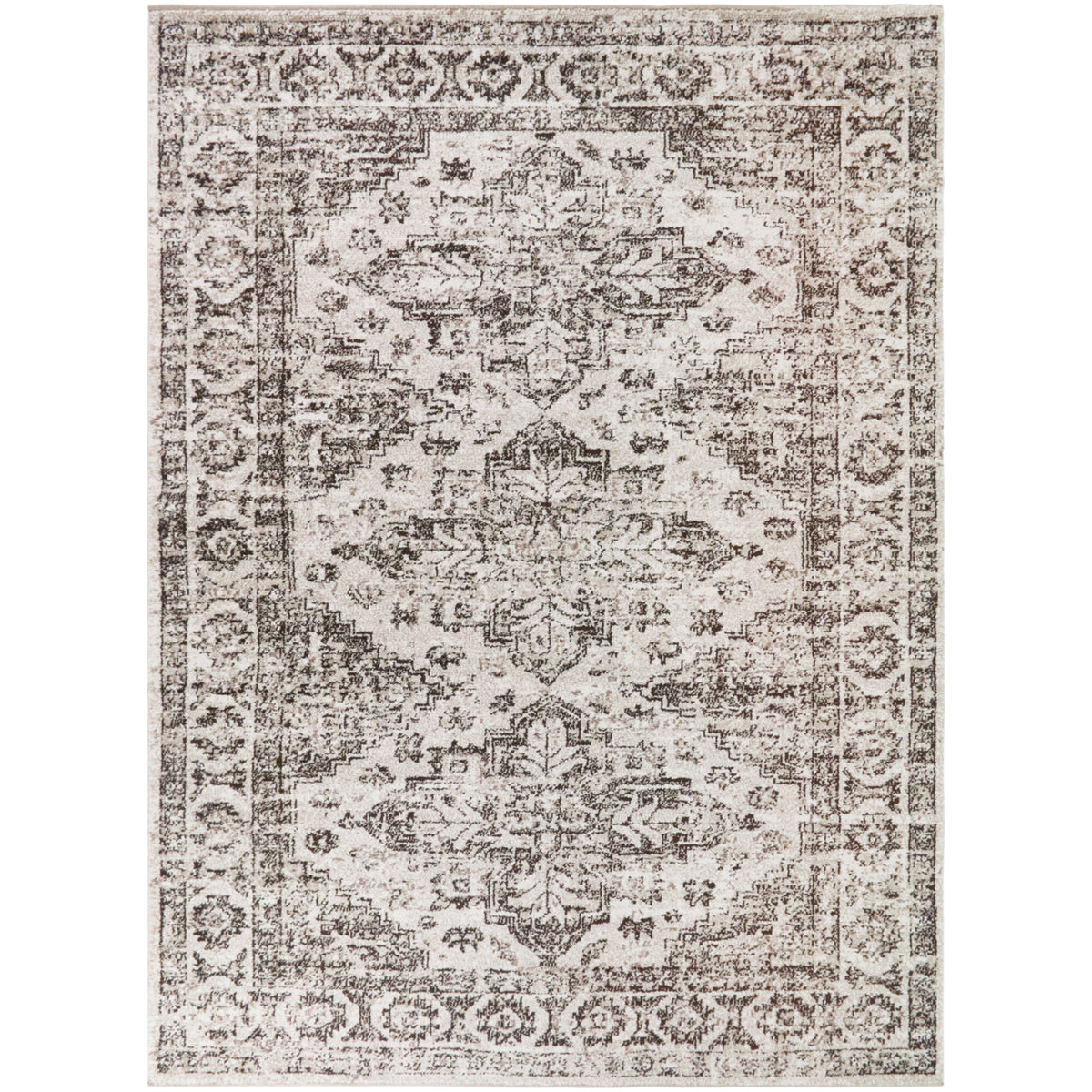 Chambellanpolymnia Southwestern Medallion Area Rug