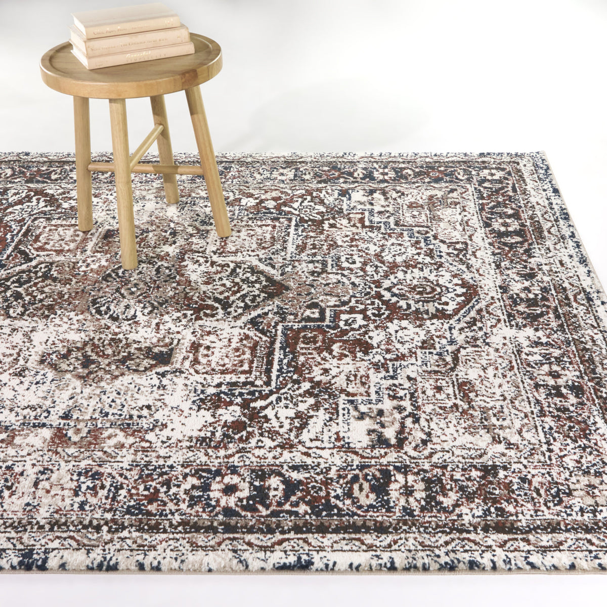 Asheim Multi Colored Traditional Area Rug