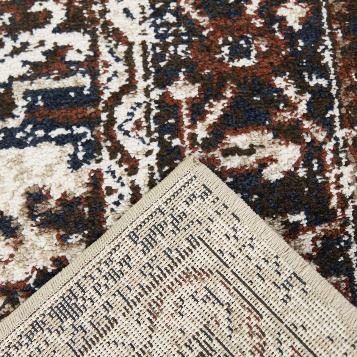 Asheim Multi Colored Traditional Area Rug