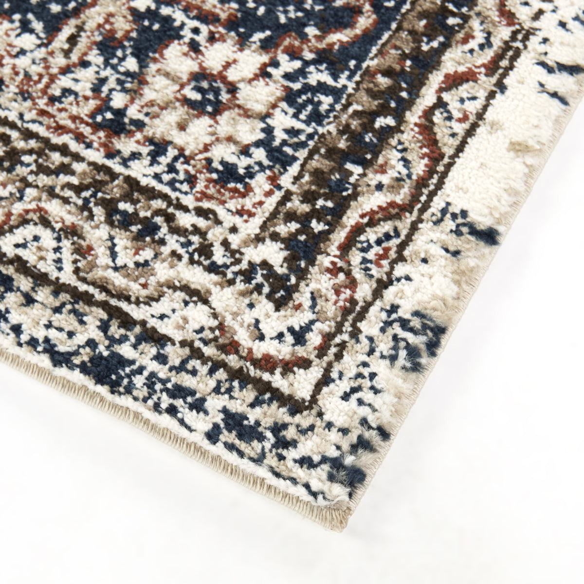 Asheim Multi Colored Traditional Area Rug
