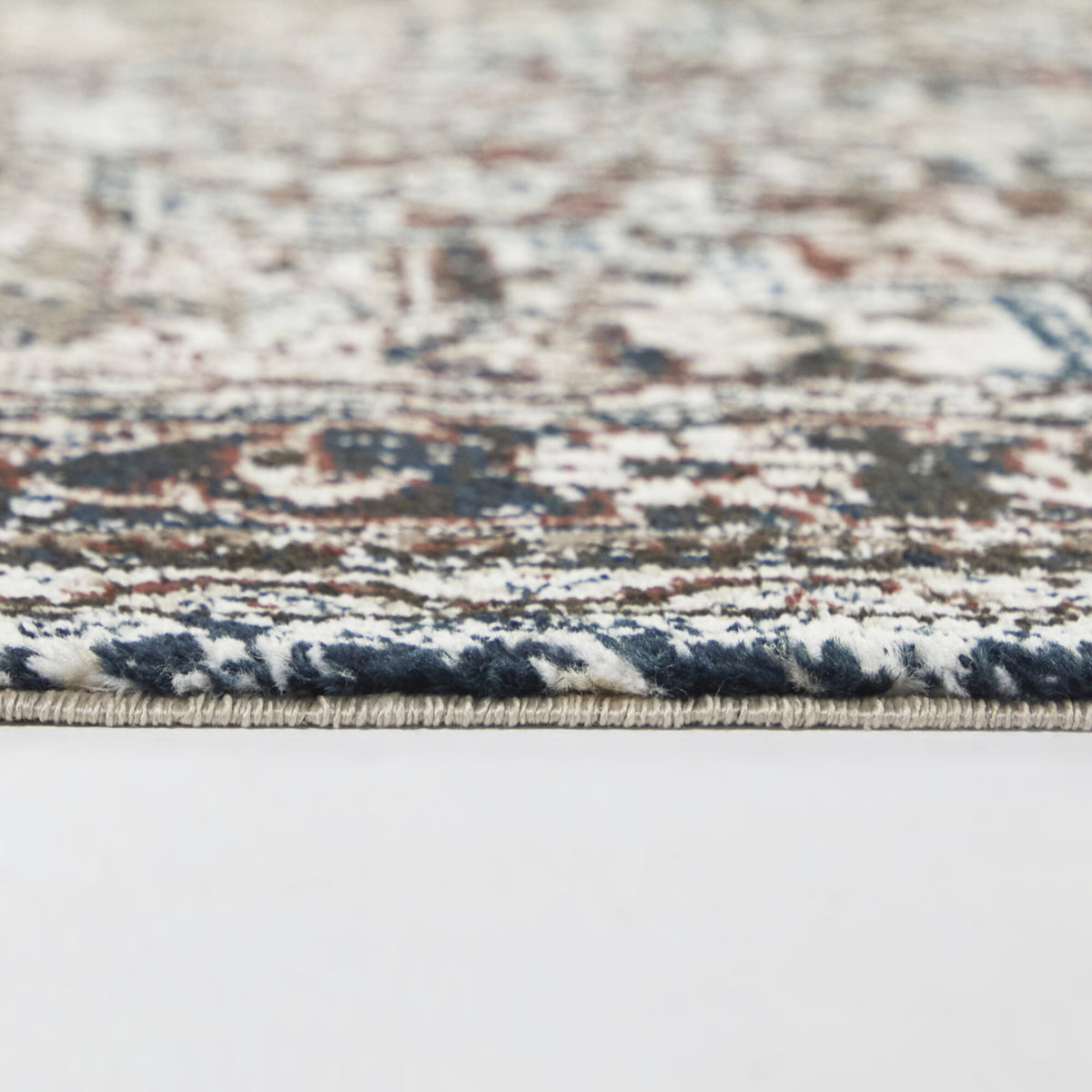 Asheim Multi Colored Traditional Area Rug