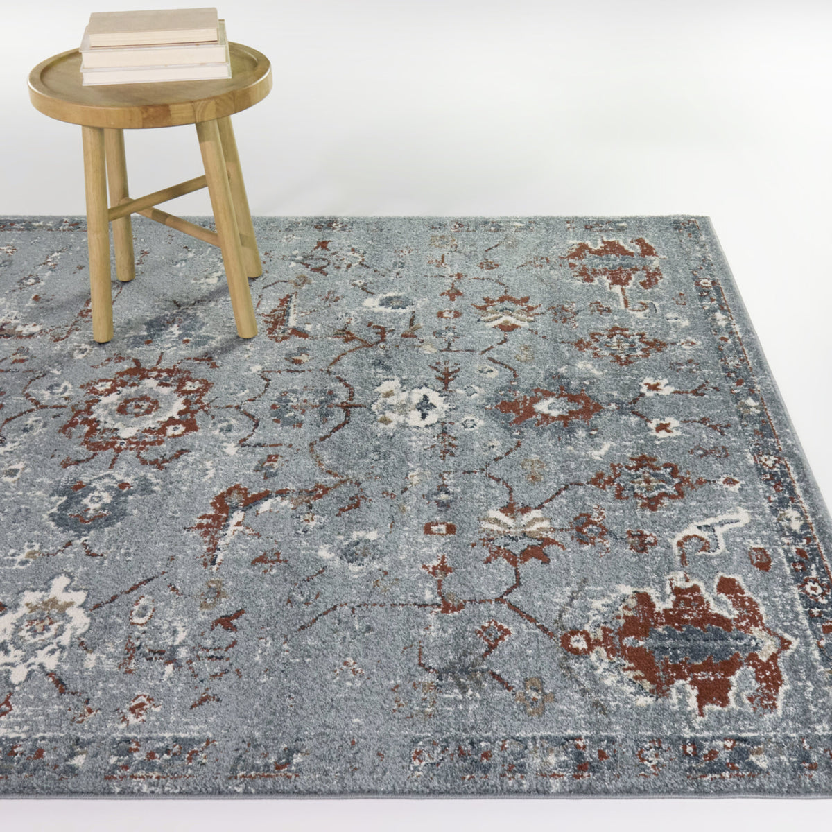 Thaddeus Distressed Medallion Area Rug