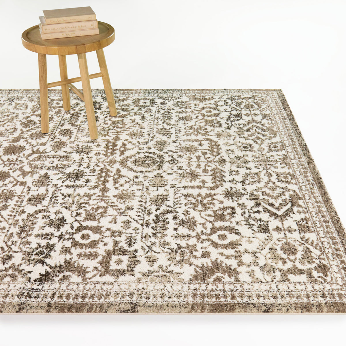 Marta Transitional Southwestern Area Rug