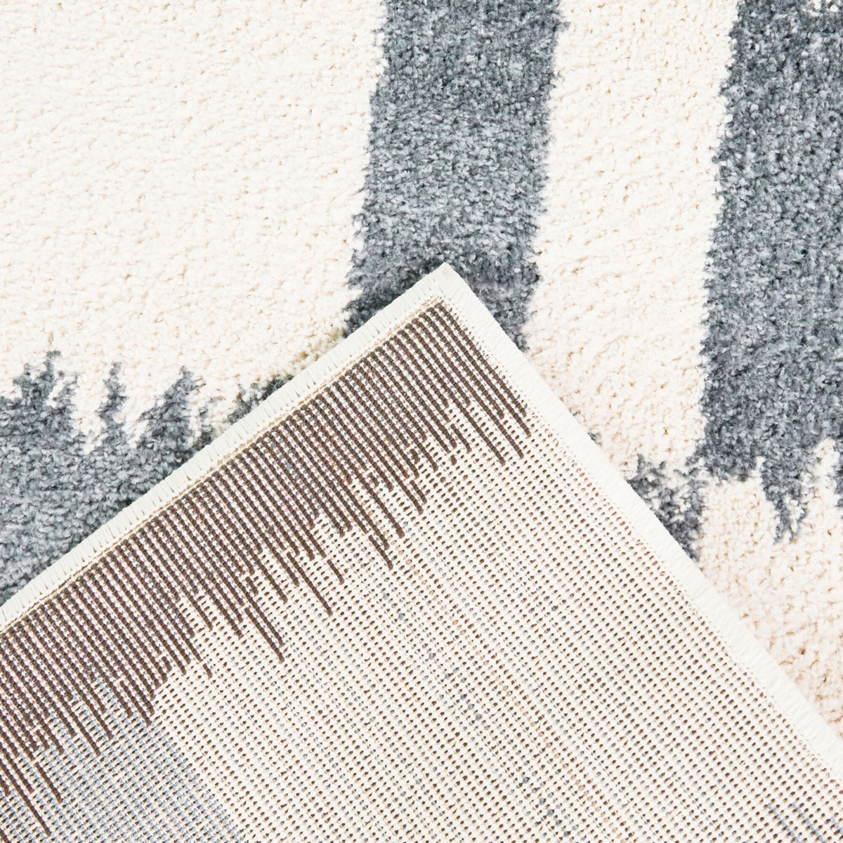 Noland Checkered Ikat Area Rug