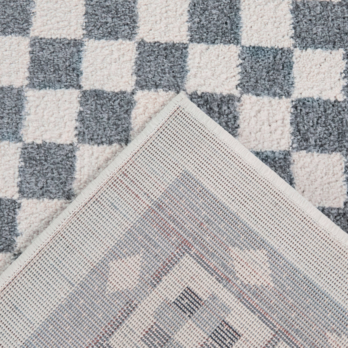 Fawke Floral Checkered Border Area Rug