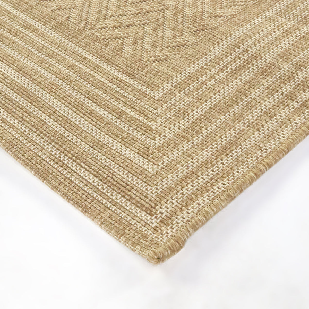 Alois Transitional Area Rug