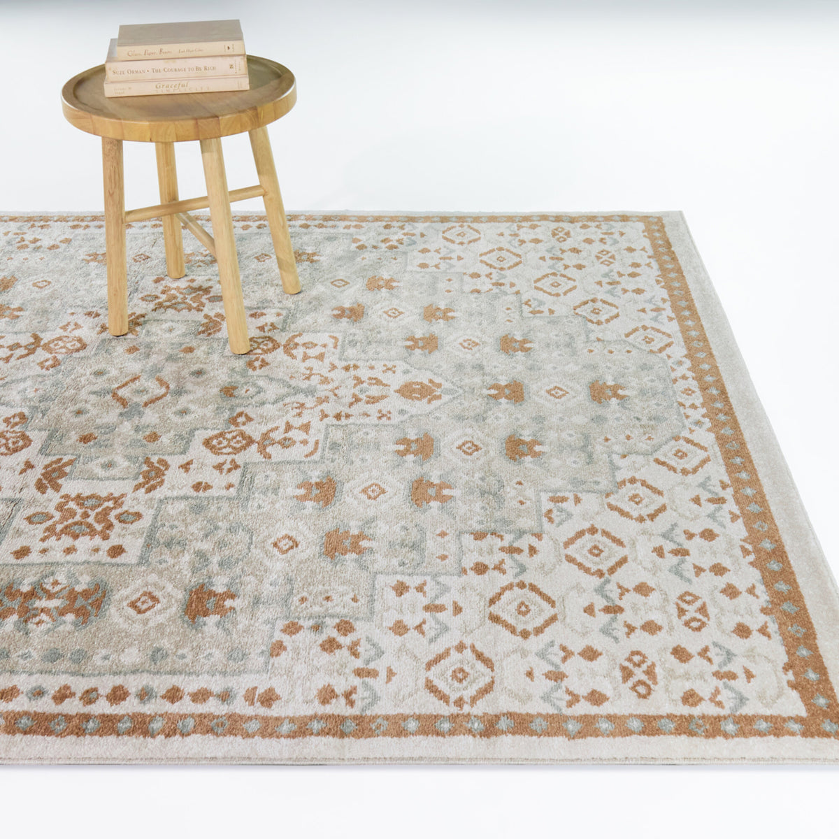 Costante Transitional Tribal Area Rug