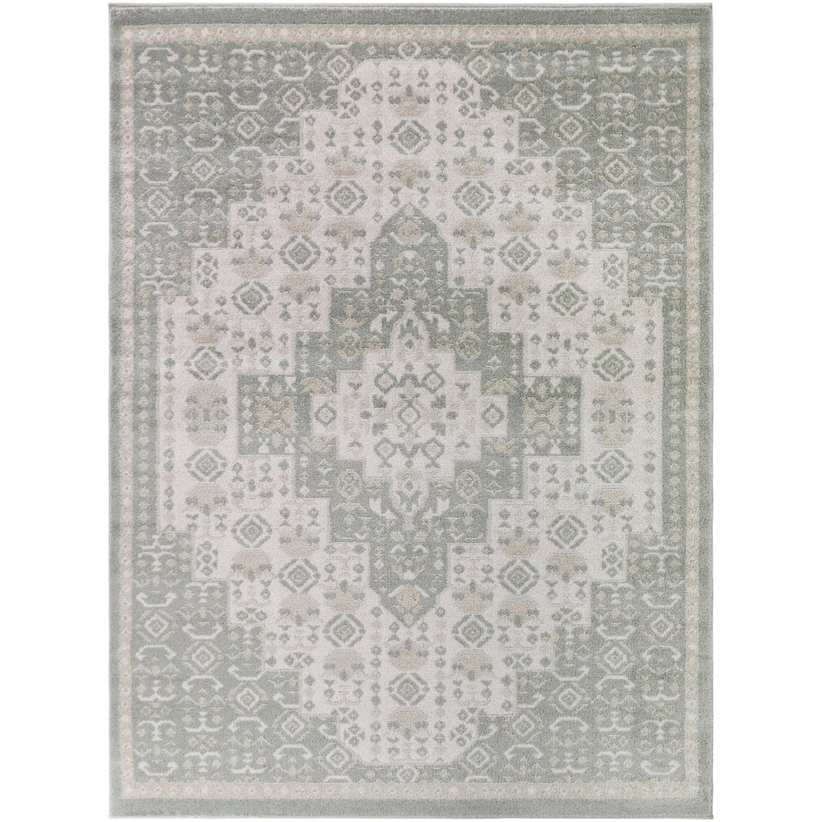 Costante Transitional Tribal Area Rug