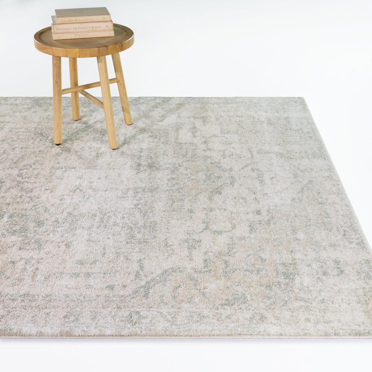 Constant Distressed Medallion Area Rug