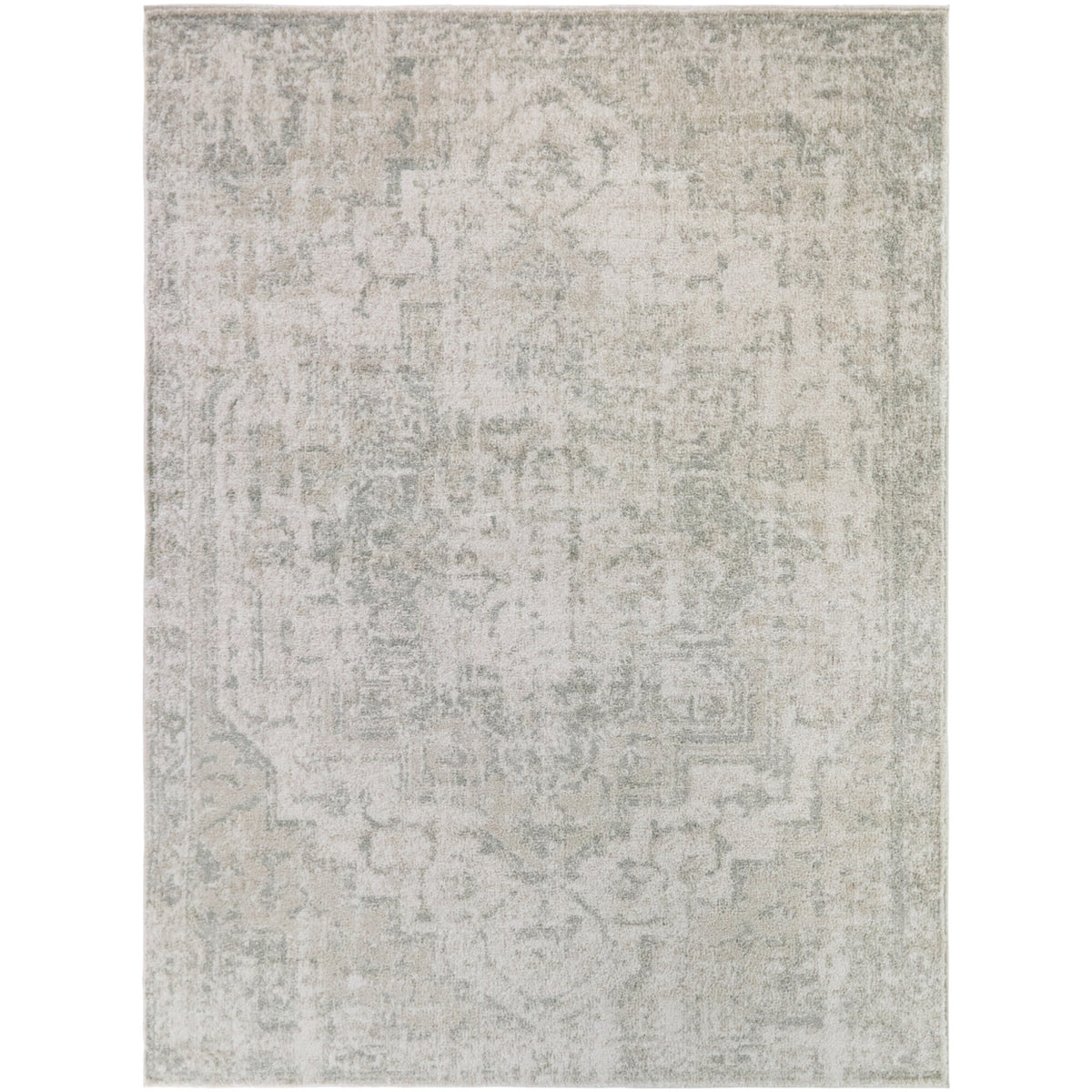 Constant Distressed Medallion Area Rug