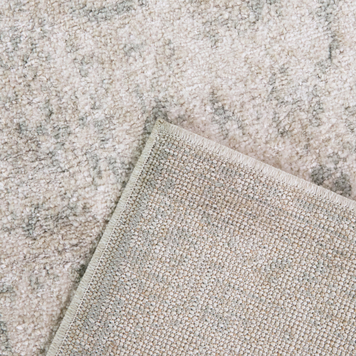 Constant Distressed Medallion Area Rug