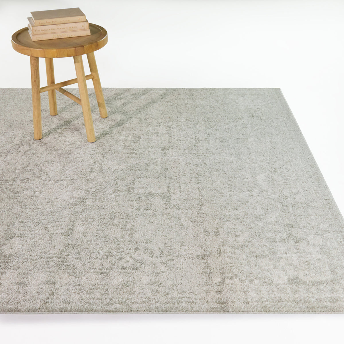 Thornhill Distressed Traditional Area Rug