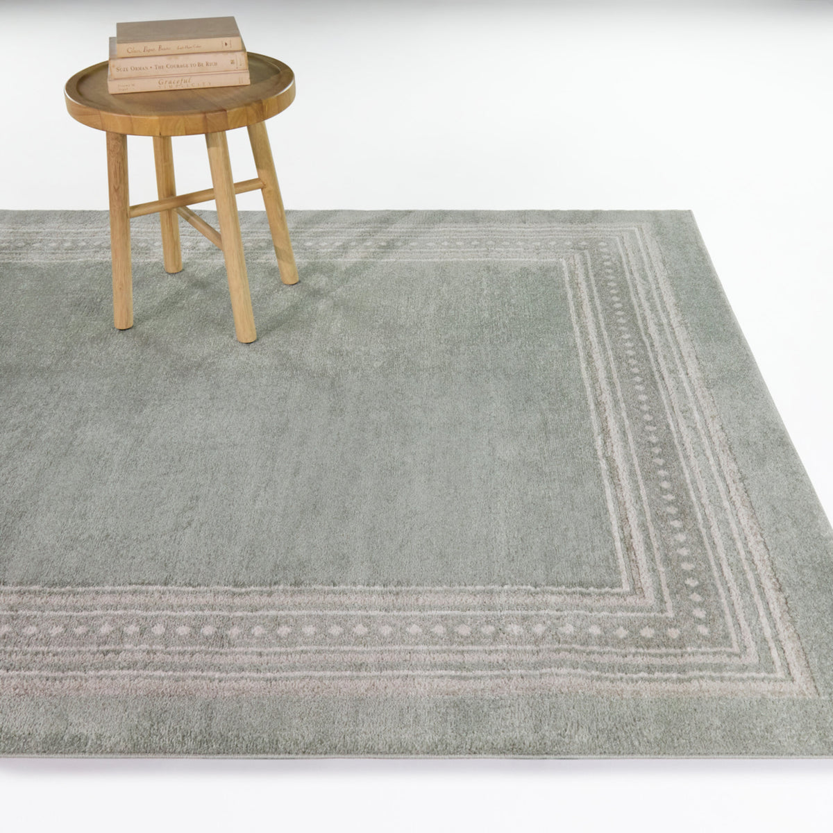 Wilkes Transitional Border Area Rug