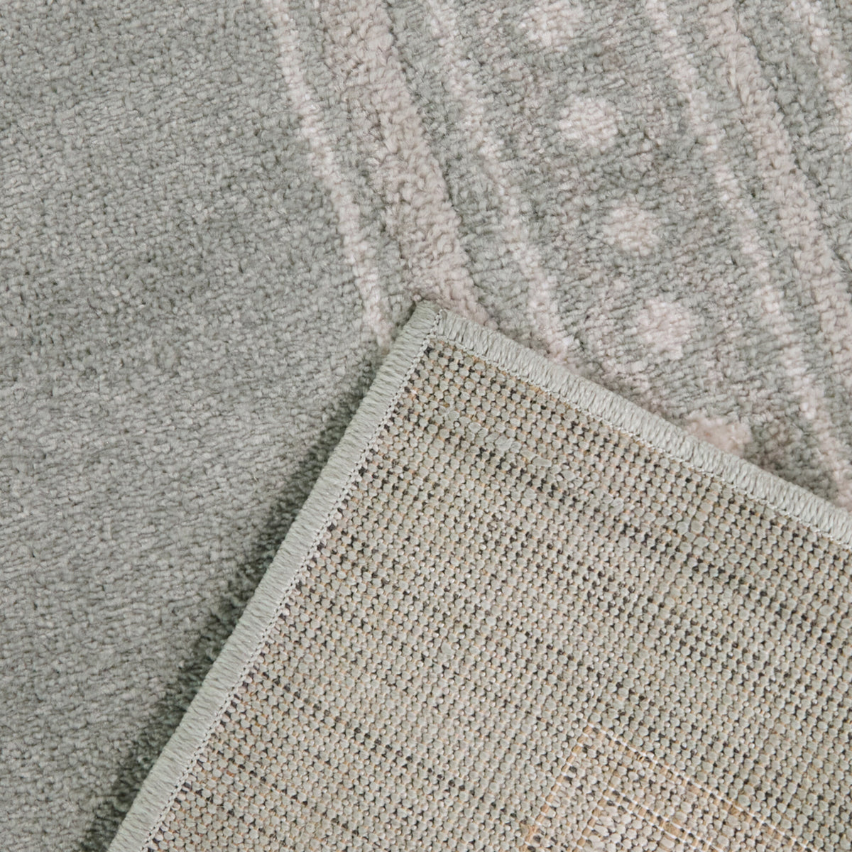 Wilkes Transitional Border Area Rug