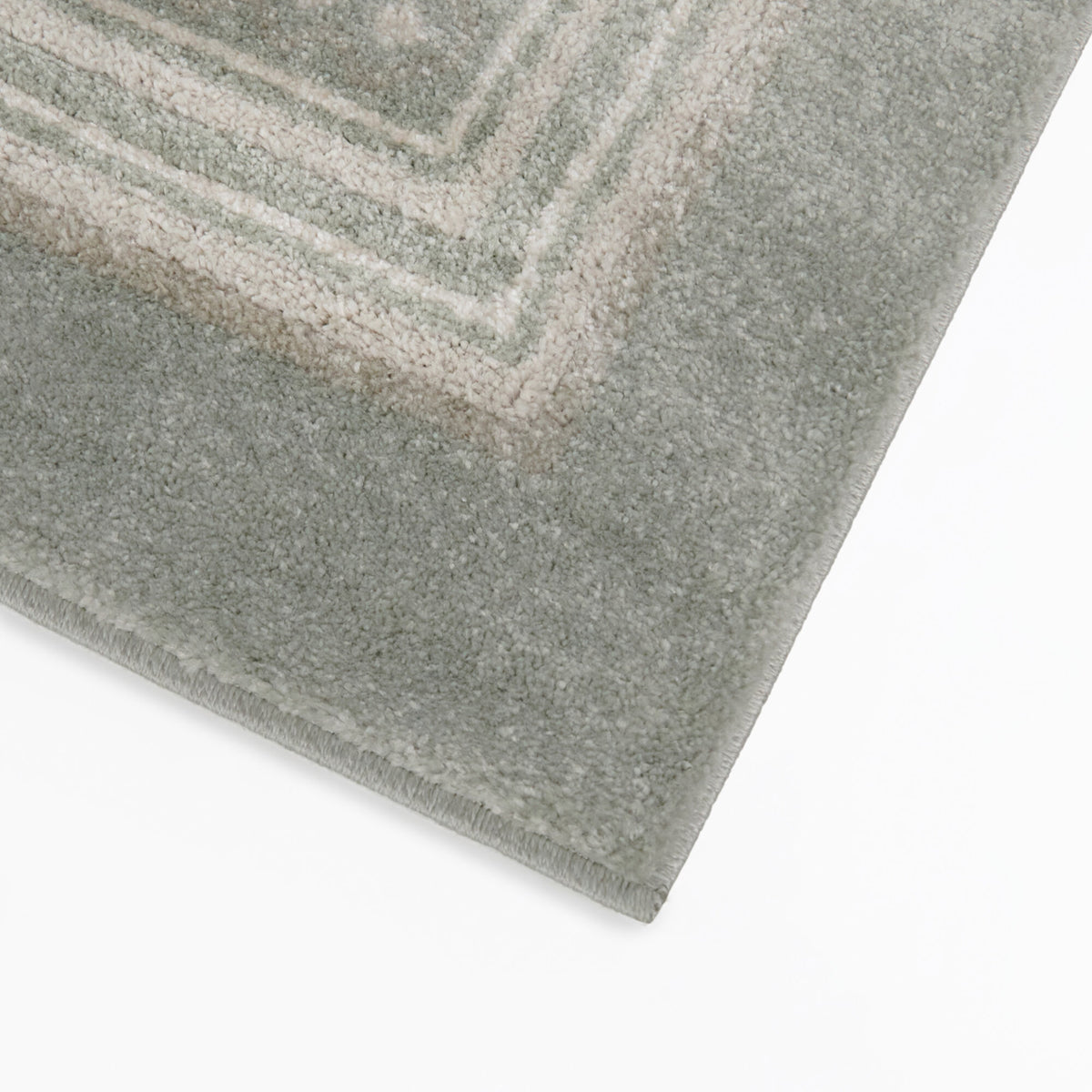 Wilkes Transitional Border Area Rug