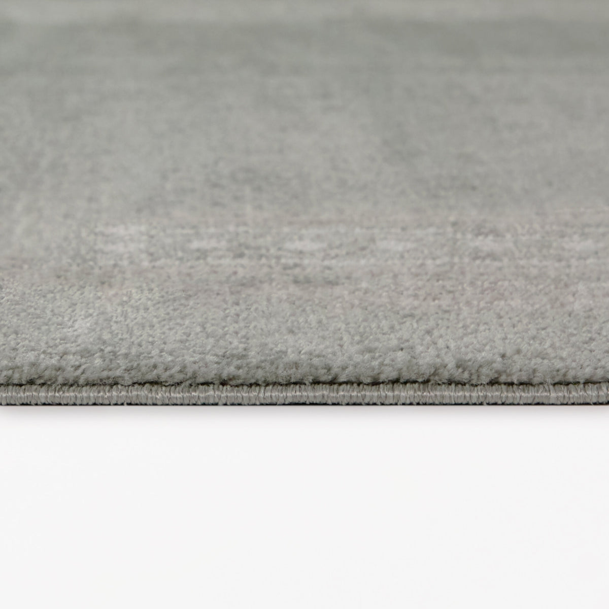 Wilkes Transitional Border Area Rug