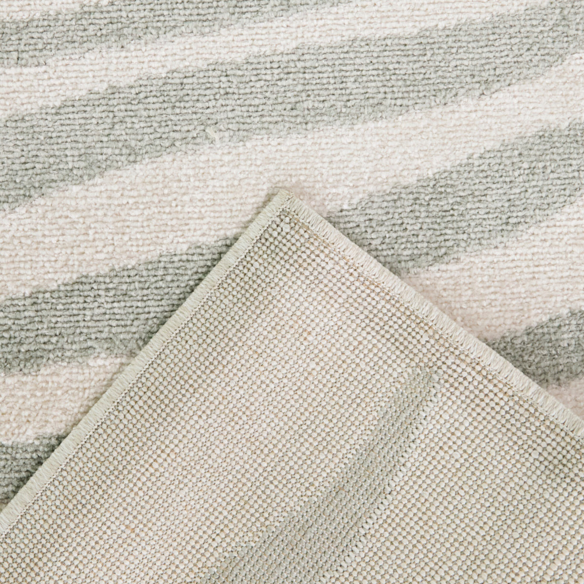 Amari Modern Botanical Area Rug