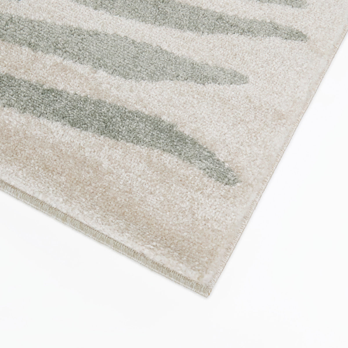 Amari Modern Botanical Area Rug