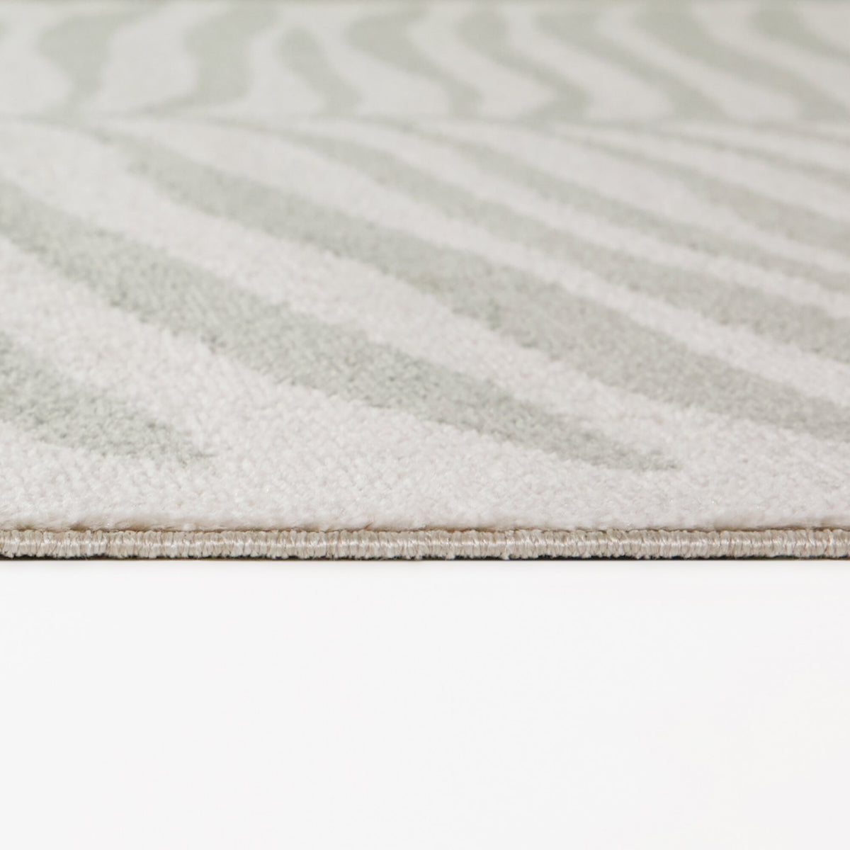 Amari Modern Botanical Area Rug