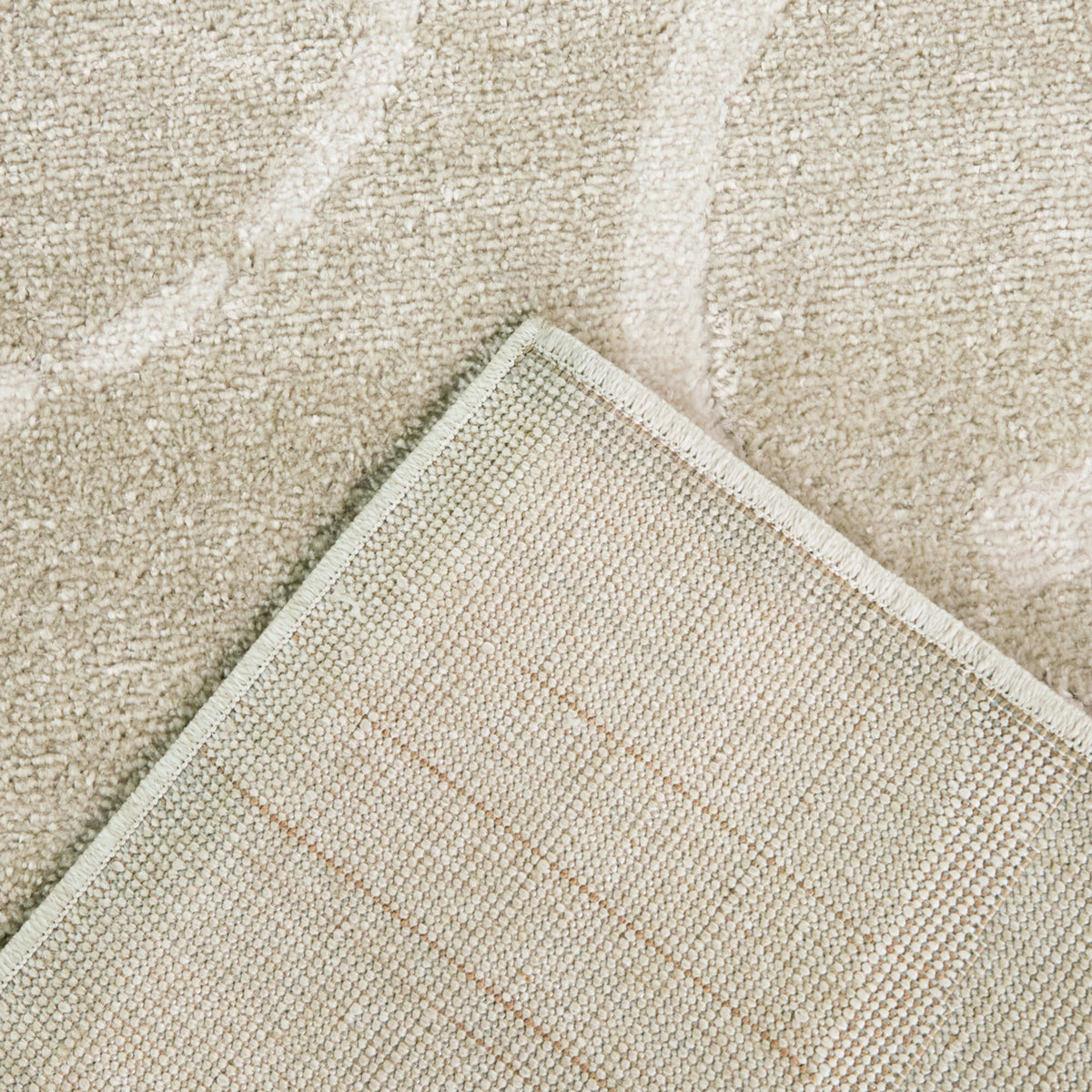 Delmar Coastal Sand Dollar Area Rug