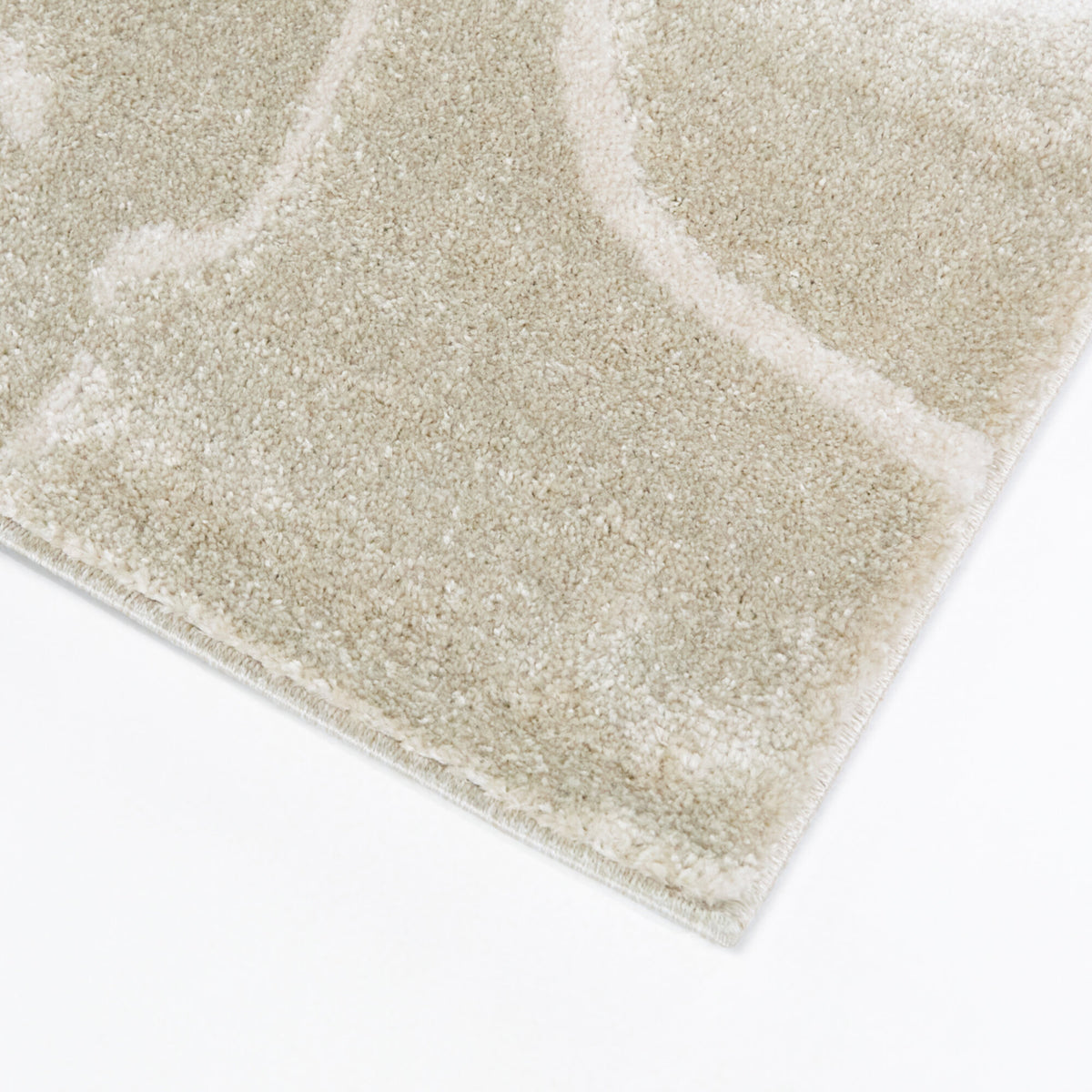 Delmar Coastal Sand Dollar Area Rug