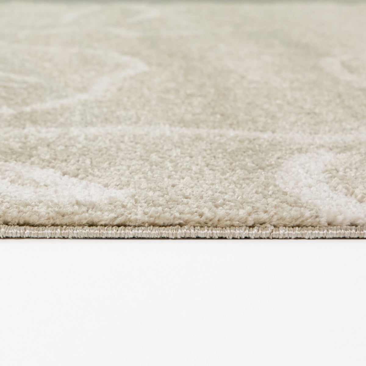 Delmar Coastal Sand Dollar Area Rug