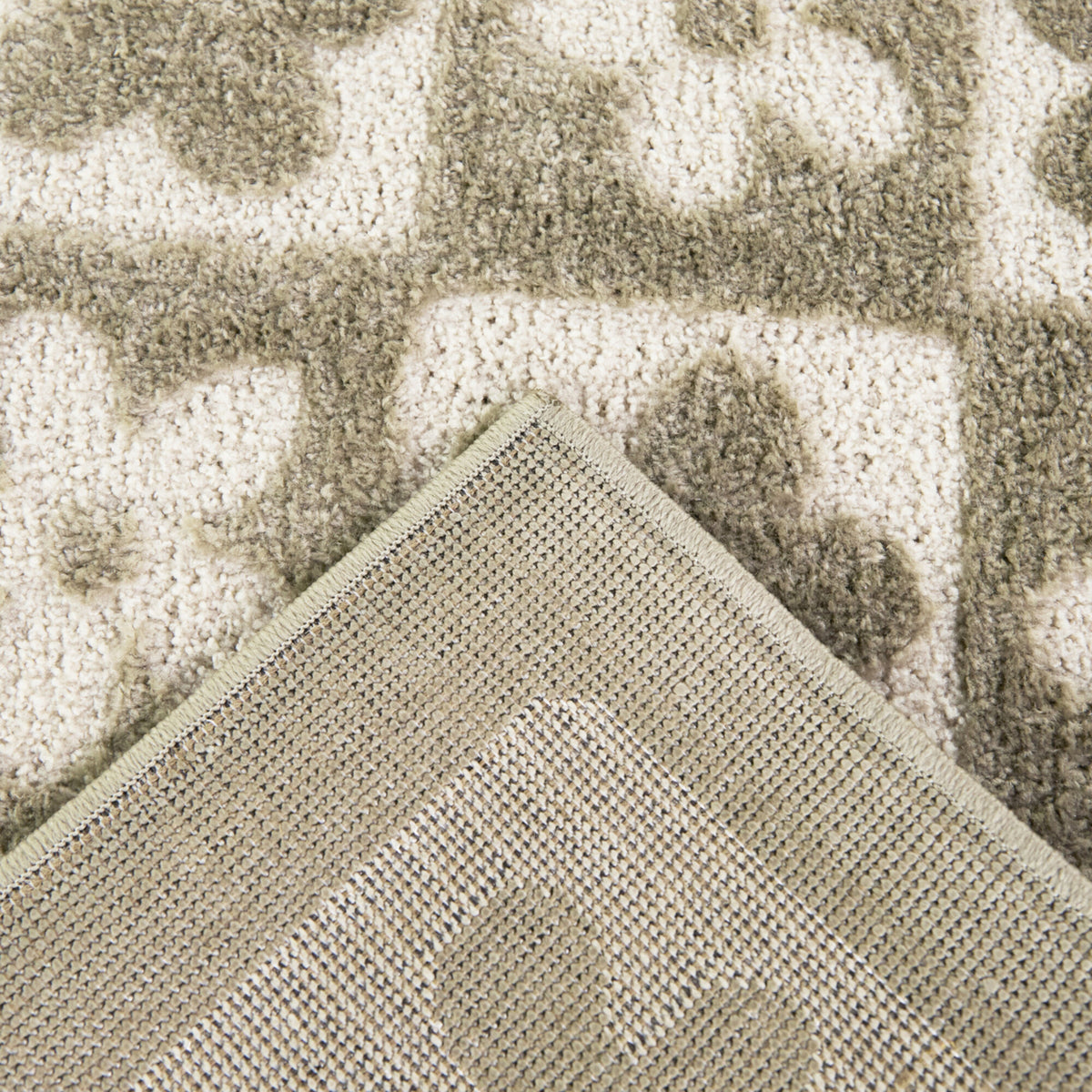 Helen Floral Checkered  Area Rug