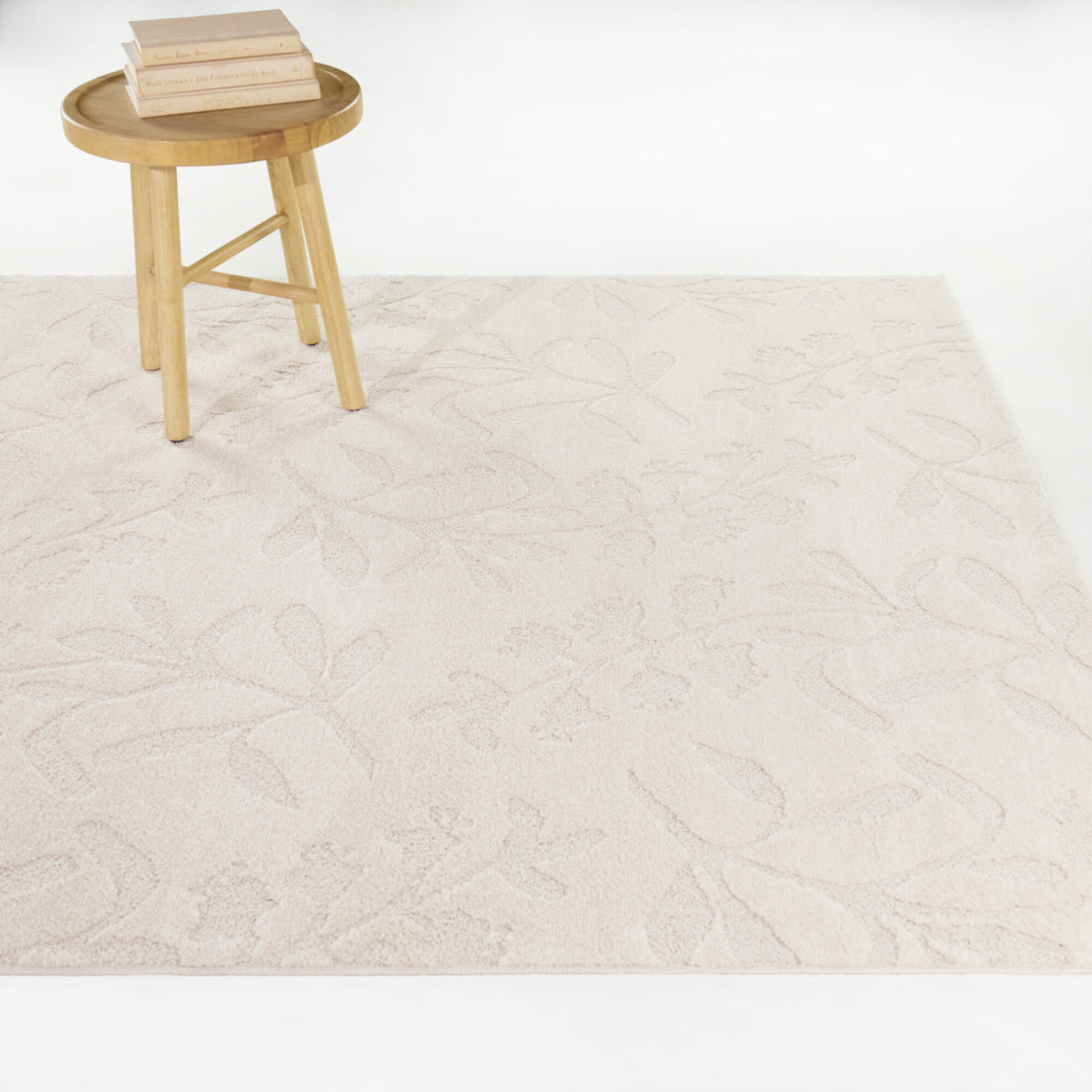 Beckwith Floral Transitional  Area Rug