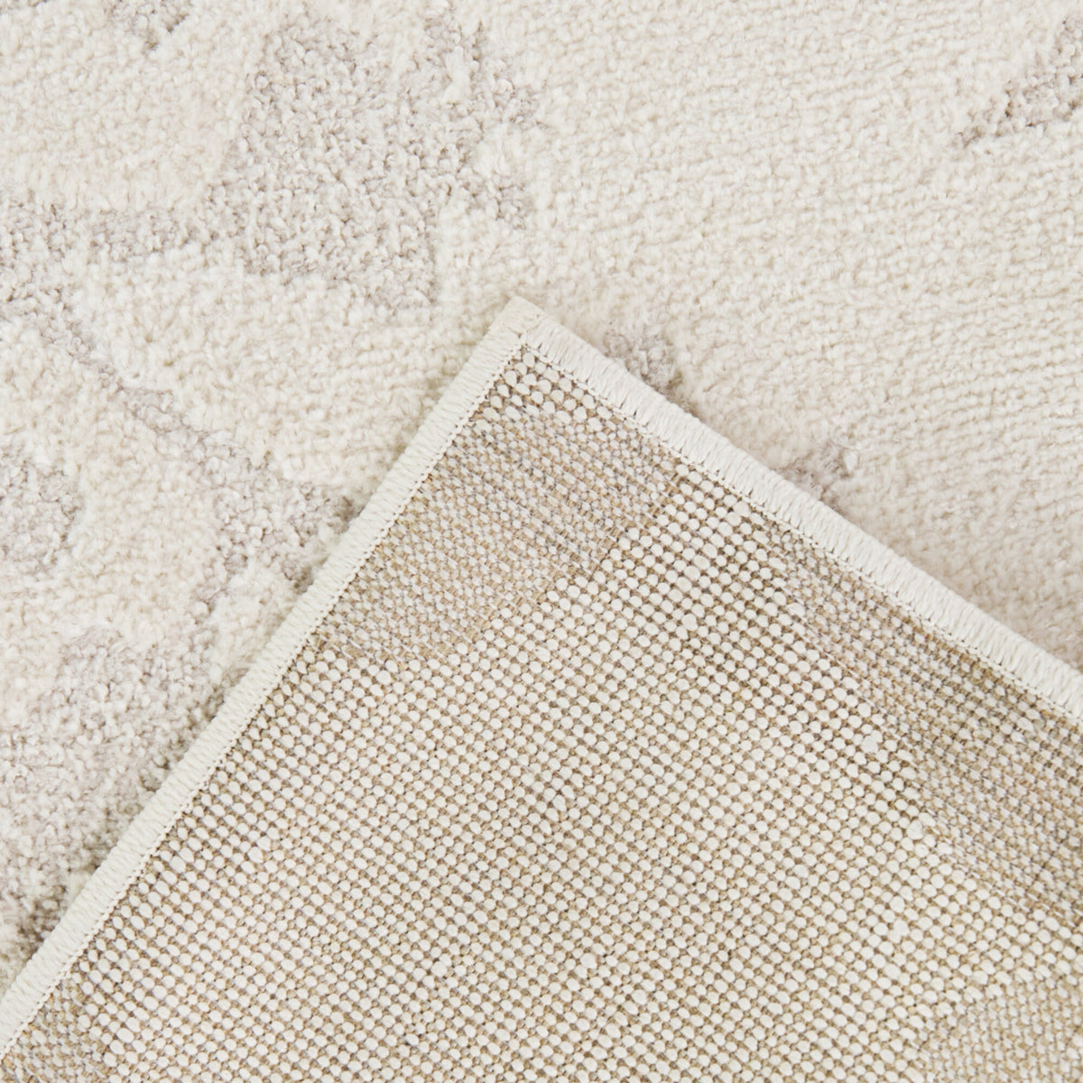 Beckwith Floral Transitional  Area Rug