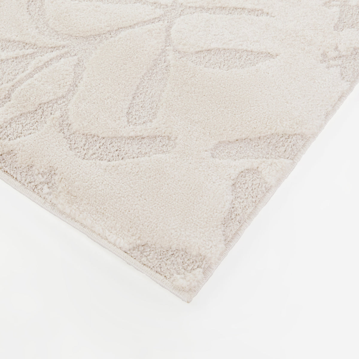 Beckwith Floral Transitional  Area Rug