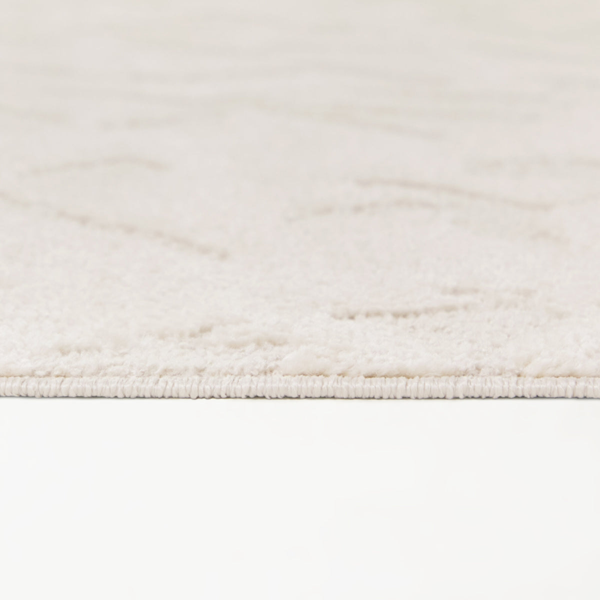 Beckwith Floral Transitional  Area Rug