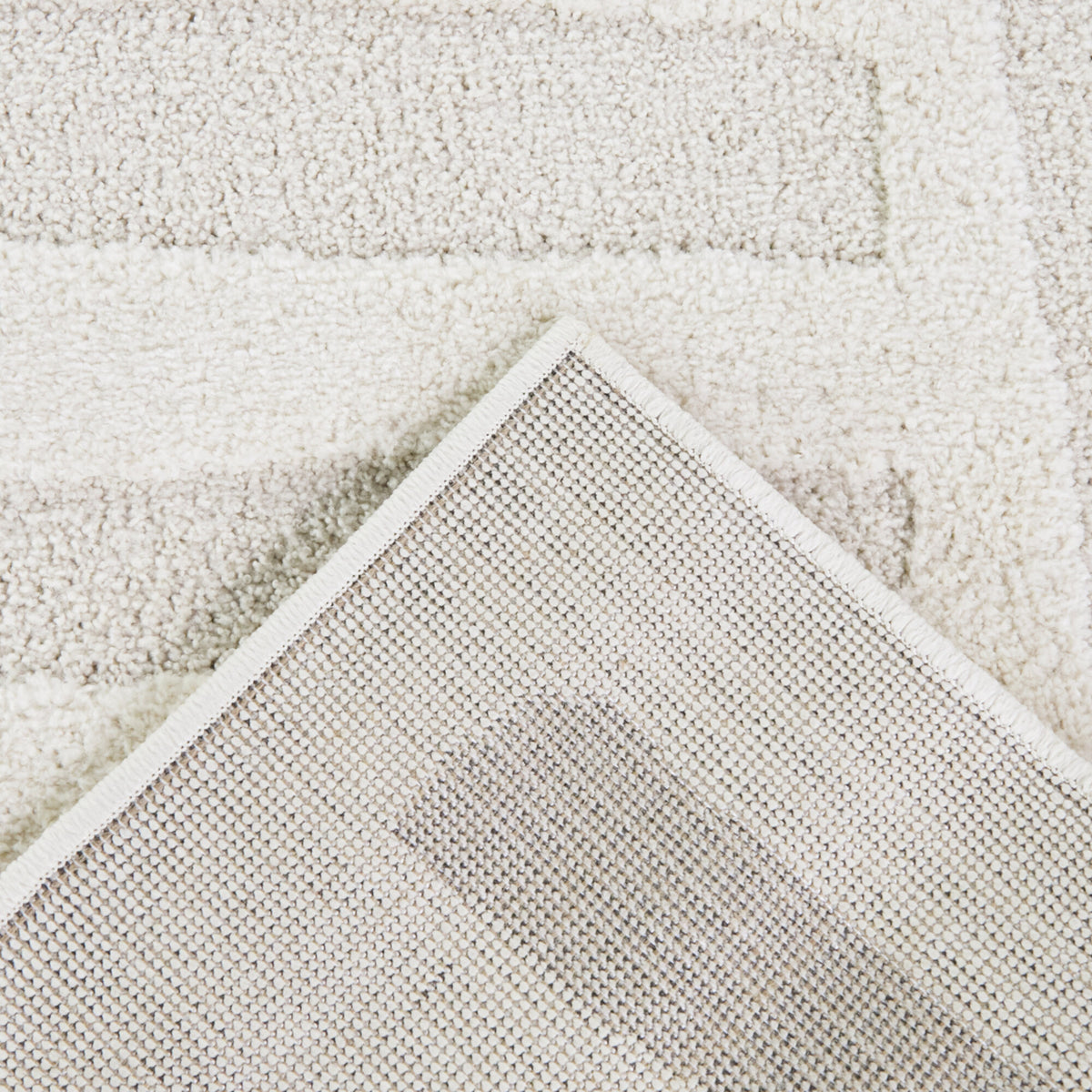 Josette Organic Modern  Area Rug