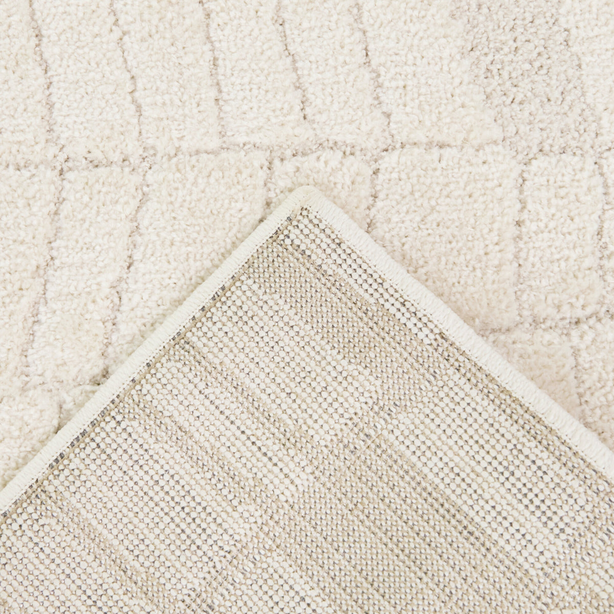 Sabatier Organic Modern  Area Rug