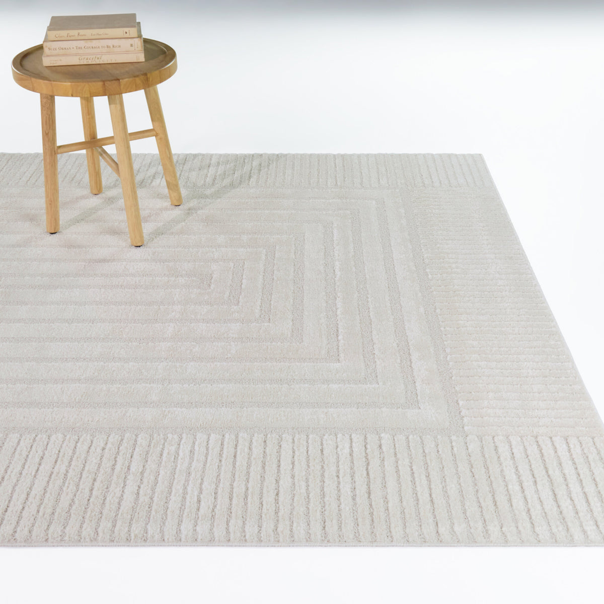Martyn Geometric Border Area Rug