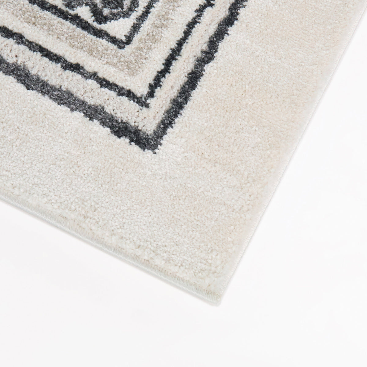 Porter Border Area Rug