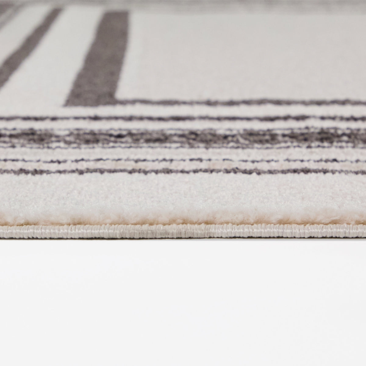 Porter Border Area Rug