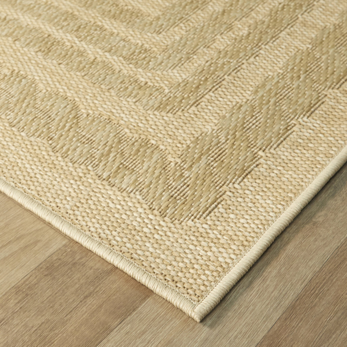 Wagner Flatweave Border Area Rug