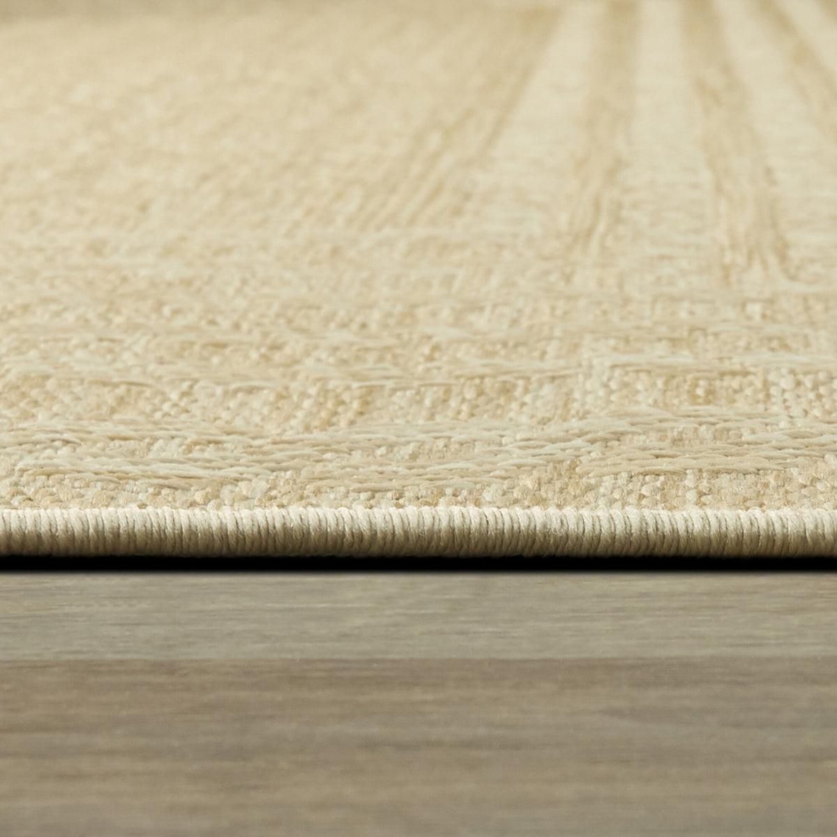 Wagner Flatweave Border Area Rug