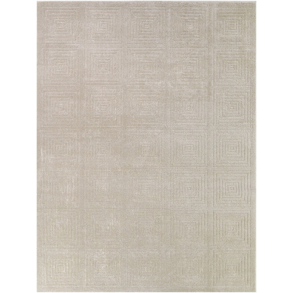 Contemporary Geometric Area Rug