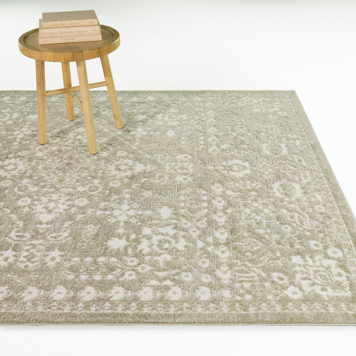 Macedonio Persian Traditional Area Rug