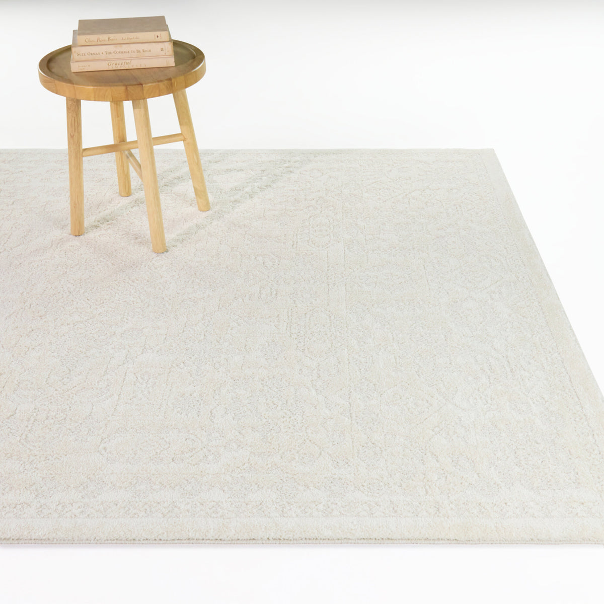 Macedonio Persian Traditional Area Rug