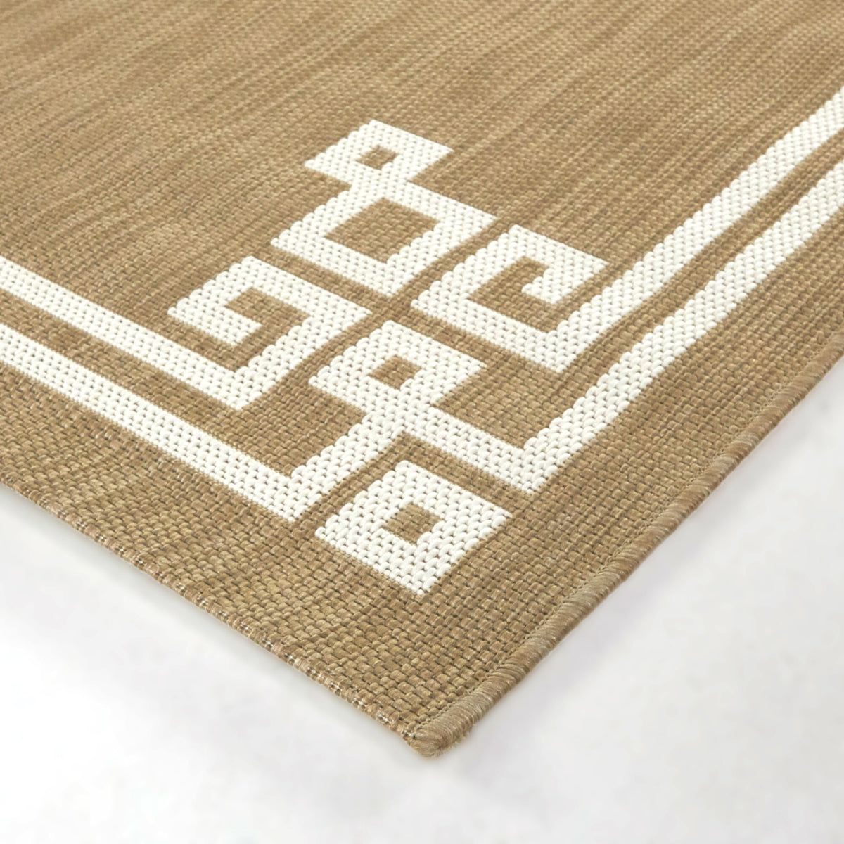 Haines Transitional Border Area Rug