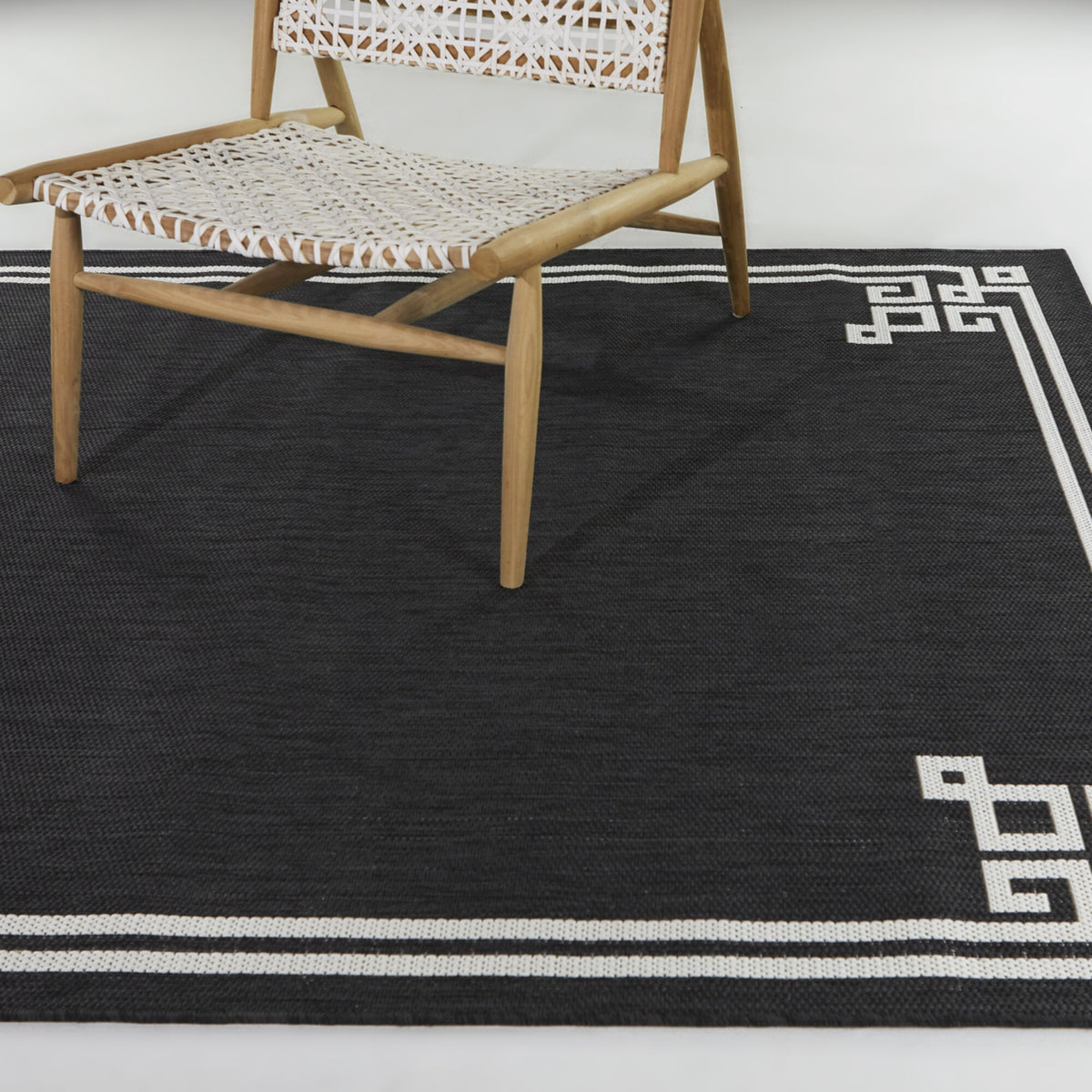 Haines Transitional Border Area Rug