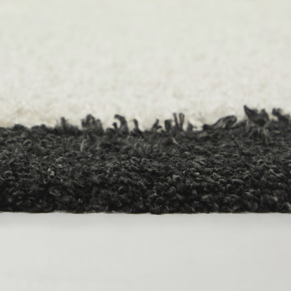 Westerhoff Border Shag  Area Rug